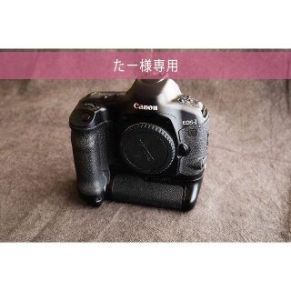 キヤノン(Canon)のCanon EOS 1v HS ボディ キヤノン フイルム(フィルムカメラ)