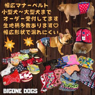 BIGONEDOGS｜フリマアプリ ラクマ