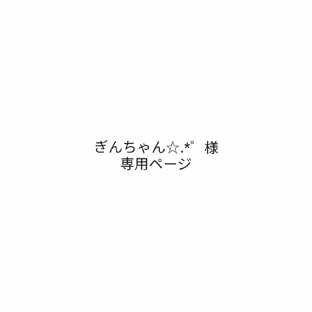 ぎんちゃん☆.*゜様専用ページの通販 by iiii｜ラクマ