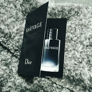 クリスチャンディオール(Christian Dior)のDior　ソヴァージュ（オードゥトワレ）(香水(男性用))