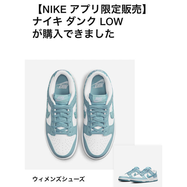 NIKE(ナイキ)のNike WMNS Dunk Low Paisley Blue 25cm レディースの靴/シューズ(スニーカー)の商品写真