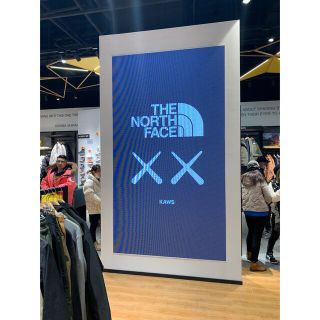 THE NORTH FACE - KAWS THE NORTHFACE MOUNTAIN JACKET