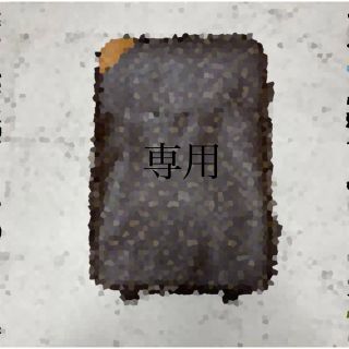 ルイヴィトン(LOUIS VUITTON)の専用です(スーツケース/キャリーバッグ)