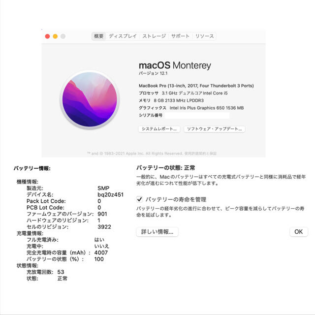 Mac (Apple) - 【極美品】MacBook Pro 13-inch 2017 8GB 256GBの通販