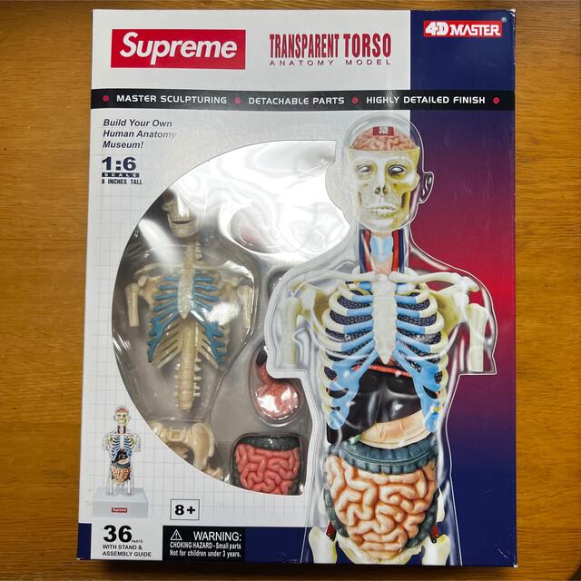 supreme 人体模型 スケルトン