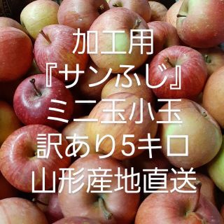 加工用『サンふじ』訳ありミニ玉小玉 箱込5キロ 山形産地直送 減農薬栽培(フルーツ)