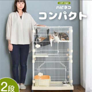 専用(猫)