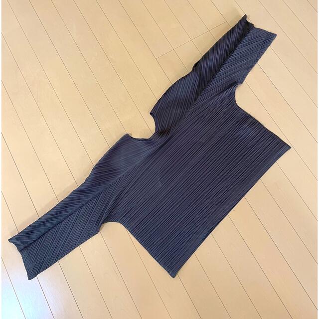 PLEATS PLEASE ISSEY MIYAKE(プリーツプリーズイッセイミヤケ)の【新品】プリーツプリーズ　横プリーツ　カットソー　トップス レディースのトップス(カットソー(長袖/七分))の商品写真