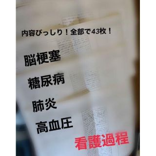 大人気♡老年看護学実習 看護過程 アセスメント(語学/参考書)