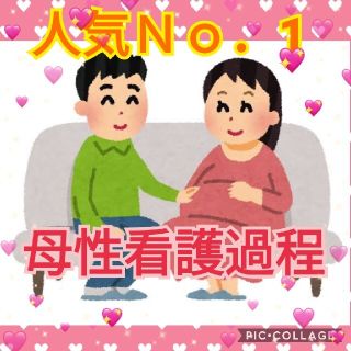 人気Ｎｏ．1♡母性看護過程  看護学生 看護実習   アセスメント 国家試験(健康/医学)