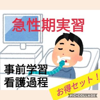 8100円→7800円✩.*˚おまとめセット♡♡急性期看護過程・事前学習(語学/参考書)