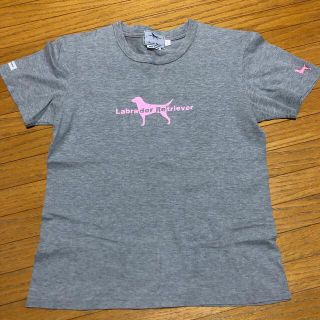 ラブラドールリトリーバー(Labrador Retriever)のレディース　Tシャツ(Tシャツ(半袖/袖なし))