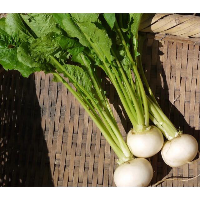 熊本産無農薬野菜詰め合わせ 食品/飲料/酒の食品(野菜)の商品写真