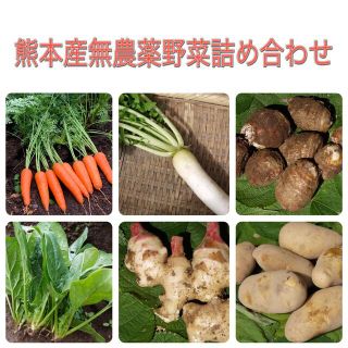 熊本産無農薬野菜詰め合わせ(野菜)