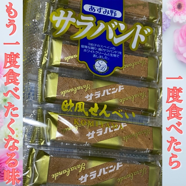 信州 あずみ野 安曇野 小宮山製菓 サラバンド 欧風せんべい 1袋 12本 ×2 食品/飲料/酒の食品(菓子/デザート)の商品写真