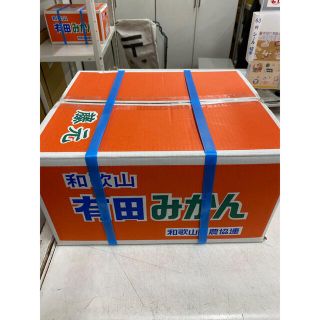 和歌山有田早生みかん 10キロ(フルーツ)