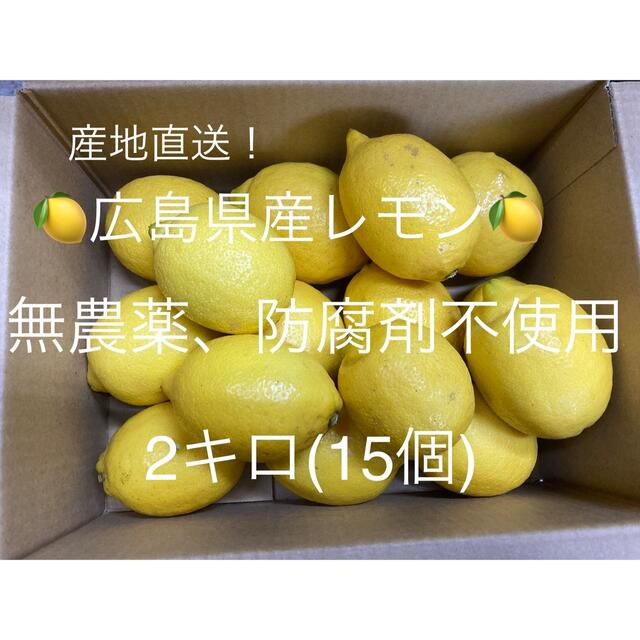 訳あり！産地直送！広島県産レモン 2キロ 無農薬、防腐剤不使用、ノー