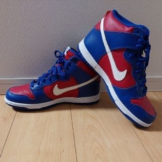 ナイキ(NIKE)のNIKE DUNK(スニーカー)