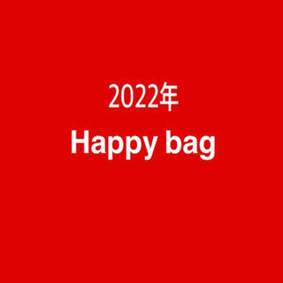 新年Happy bag!! イヤリングセット/ピアスセット(ピアス)