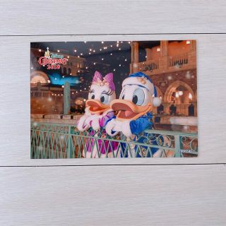 ディズニー(Disney)のディズニー スペシャルフォト カラーオブクリスマス(キャラクターグッズ)