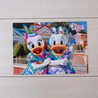 ディズニー(Disney)のディズニー スペシャルフォト うさたま大脱走(キャラクターグッズ)