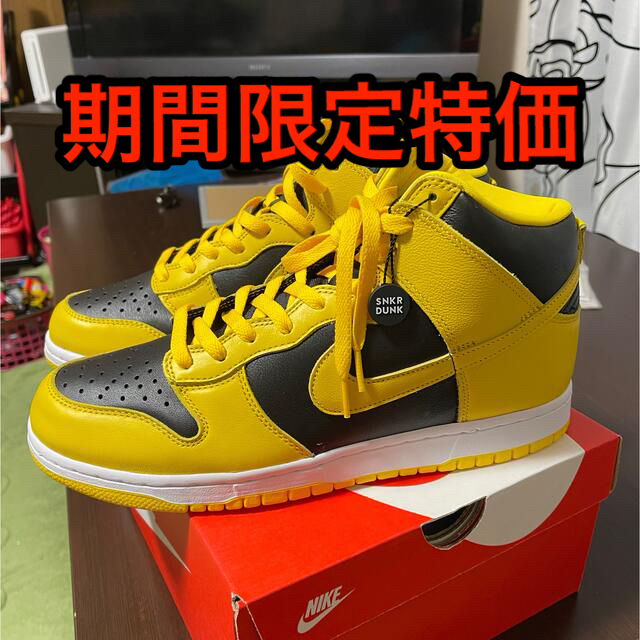 NIKE DUNK HI SP VARSITY MAZE