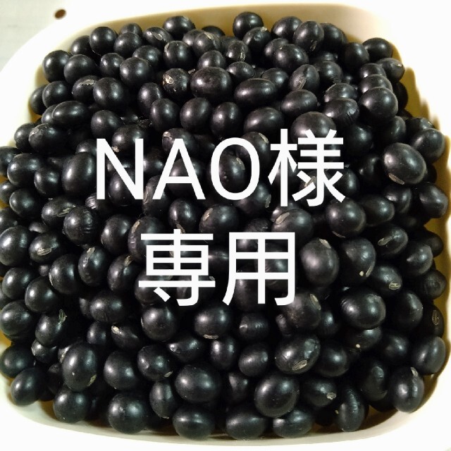 北海道産　黒大豆 食品/飲料/酒の食品(野菜)の商品写真