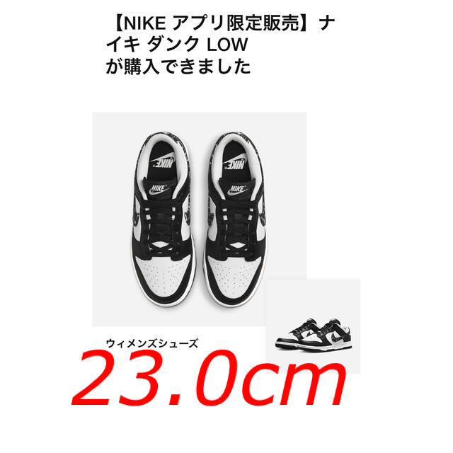 NIKE WMNS Dunk Low Paisley ペイズリー 23.0cm