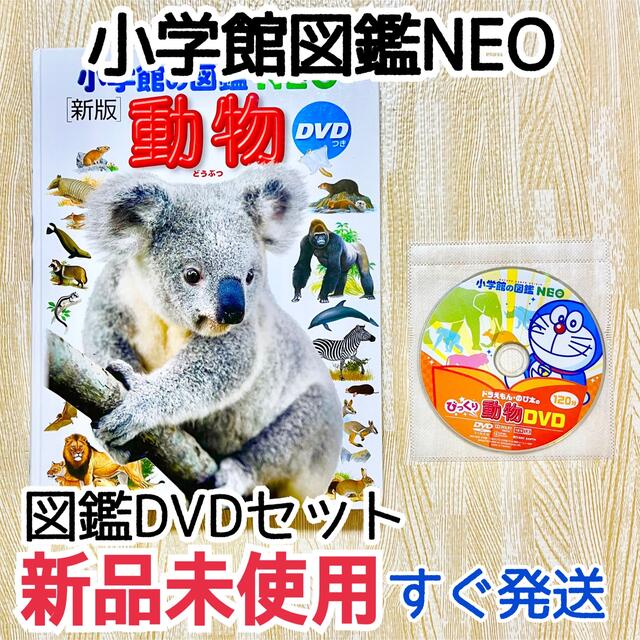 新品未使用DVD☆ 小学館 図鑑NEO 人気動物図鑑・DVDセット 新品未使用DVD☆ 小学館 図鑑NEO 人気動物図鑑・DVDセット