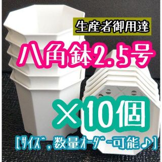 ◎10個◎八角鉢 2.5号 ブラック ホワイト 2.5寸 シャトル鉢 (プランター)