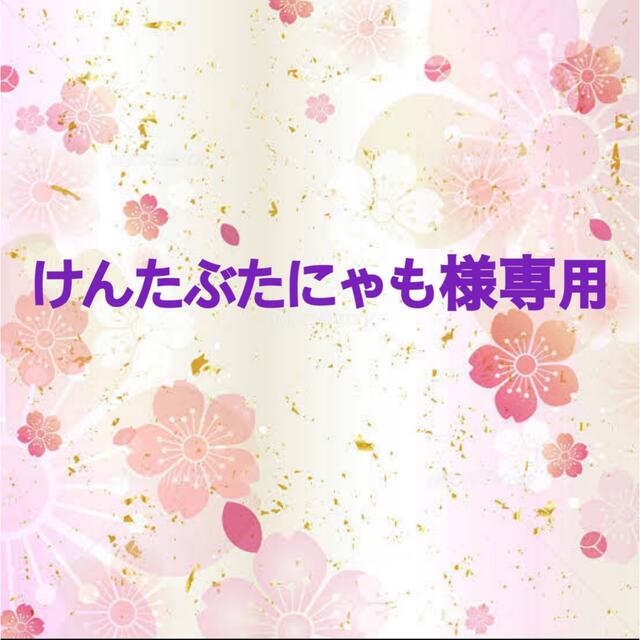 煉獄杏寿郎　時透無一郎　10cm リール付き　キーケース　2点 エンタメ/ホビーのおもちゃ/ぬいぐるみ(キャラクターグッズ)の商品写真