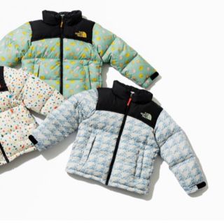 ミナペルホネン ノースフェイスの通販 94点 | mina perhonenを買うなら