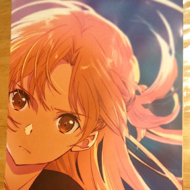 ニュータイプ12月付録 SAOポスター エンタメ/ホビーのアニメグッズ(ポスター)の商品写真