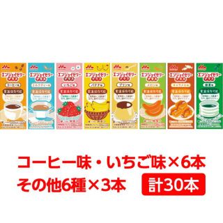 モリナガニュウギョウ(森永乳業)のwalcoz様専用エンジョイゼリープラス いろいろセット220g×30本 未開封(その他)