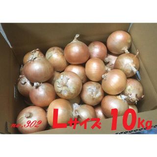 北海道産　タマネギ　Ｌサイズ　10kg　農家直送(野菜)