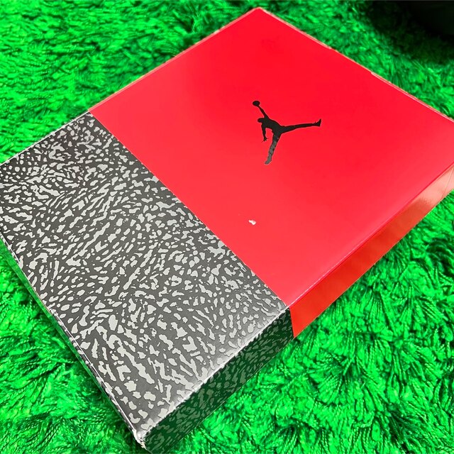 NIKE(ナイキ)のJordan 3 Retro SE Fire Red (GS)  レディースの靴/シューズ(スニーカー)の商品写真