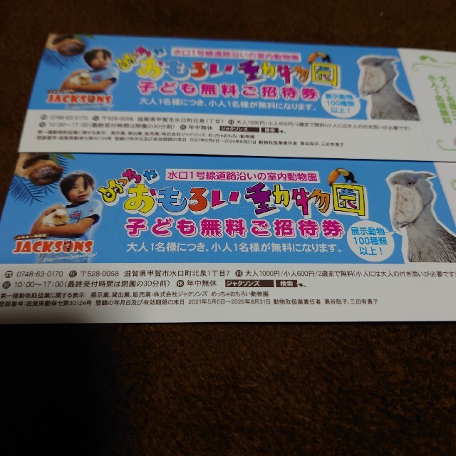 めっちゃおもろい動物園の通販 By k S Shop ラクマ めっちゃおもろい動物園の通販 By k S Shop ラクマ