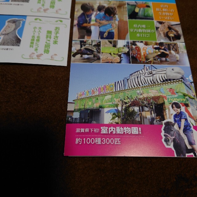 めっちゃおもろい動物園の通販 By k S Shop ラクマ めっちゃおもろい動物園の通販 By k S Shop ラクマ