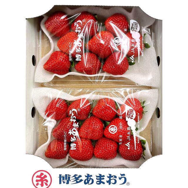 フルーツ　高級苺！！福岡県産【あまおう】グランデ5Lサイズ　10パック(5箱)