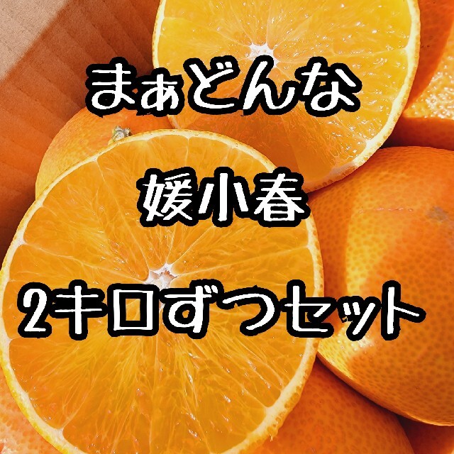 by　愛媛県産　媛小春　toramaru's　箱込み約4kg　まぁどんな　セット　ミカンの通販　柑橘　みかん　shop｜ラクマ