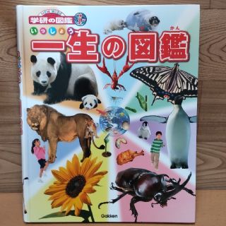 ガッケン(学研)の【一生の図鑑】ニューワイド i 学研の図鑑(絵本/児童書)