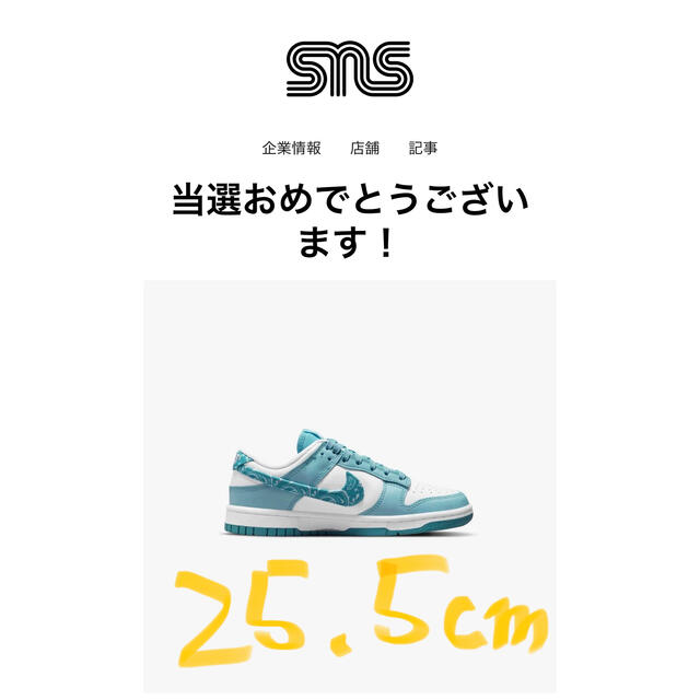 NIKE - 25.5cm NIKE DUNK LOW ナイキ ダンク ペイズリー ブルーの通販 ... 25.5cm NIKE DUNK LOW ナイキ ダンク ペイズリー ブルー