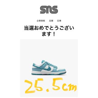 ナイキ(NIKE)の25.5cm NIKE DUNK LOW ナイキ ダンク ペイズリー ブルー(スニーカー)