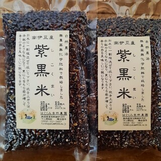 紫黒米(米/穀物)