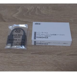 ソニー(SONY)のUSB Type-C 3.5φ変換ケーブル (TVアンテナ機能付)(その他)