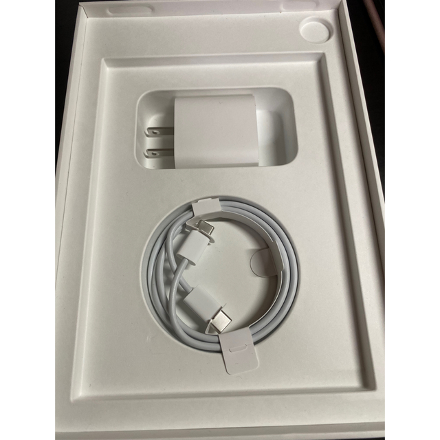 iPad mini 6 256GB セルラーモデル ピンク ケース保護シート付