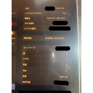 iPad mini 6 256GB セルラーモデル ピンク ケース保護シート付