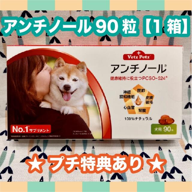 アンチノール 犬用 90粒 1箱〈おまけ付き〉の通販 by ミーナ＊。｜ラクマ