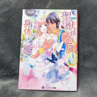 小説『聖獣様に心臓（物理）と身体を（性的に）狙われています。』(その他)