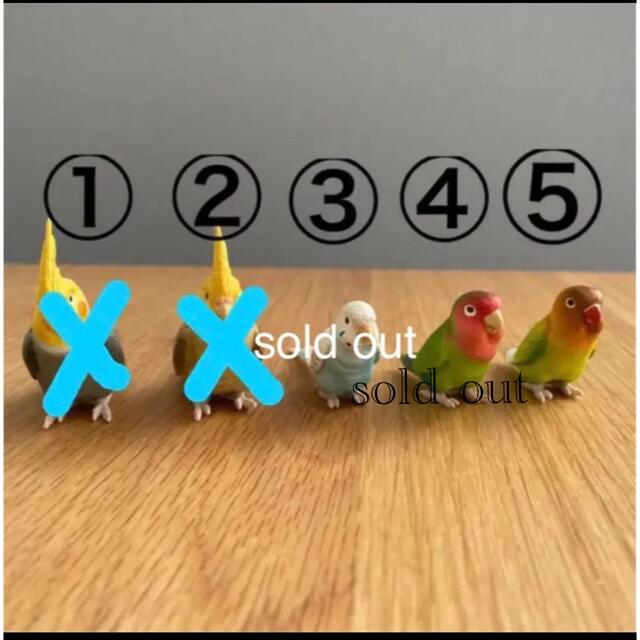 インコ　フィギュア　⑤ エンタメ/ホビーのフィギュア(その他)の商品写真